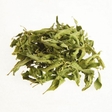 Verbena Leaf  