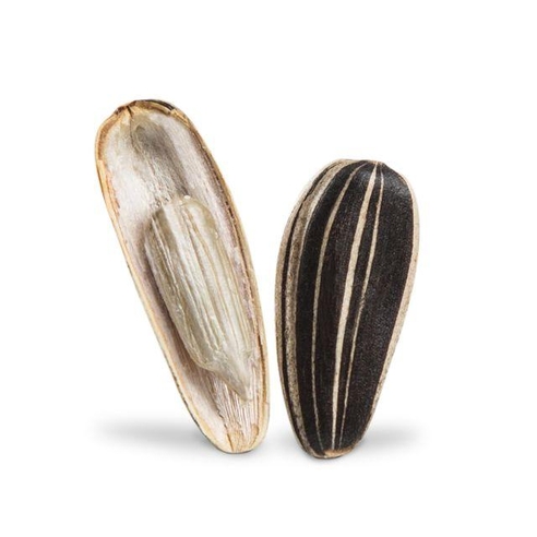 Roasted Unsalted Sunflower seed