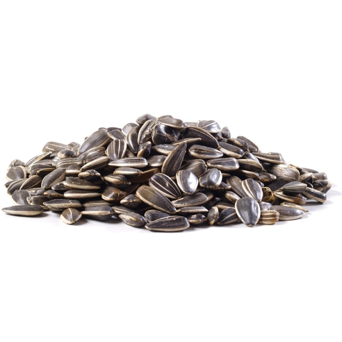 Roasted Unsalted Sunflower seed