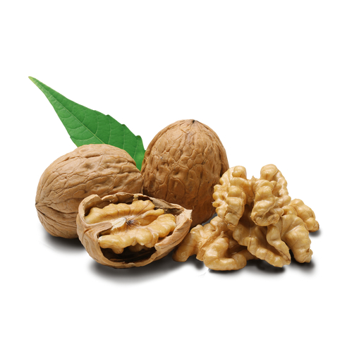 Walnut Hull